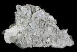 Yellow/Brown Barite Crystal Cluster - Linwood Mine, Iowa #91350-2